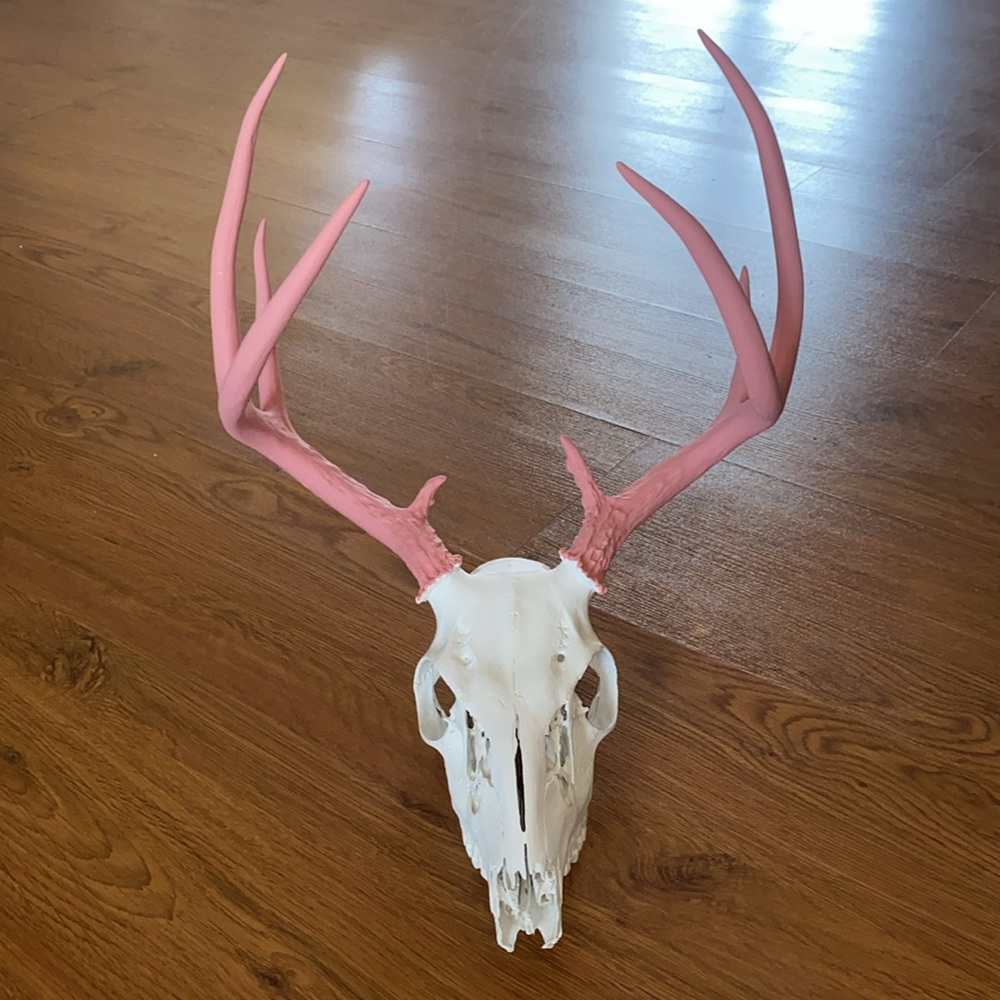 Beautiful deer skull with 8 antlers, custom treated, dreamy mauve pink & white